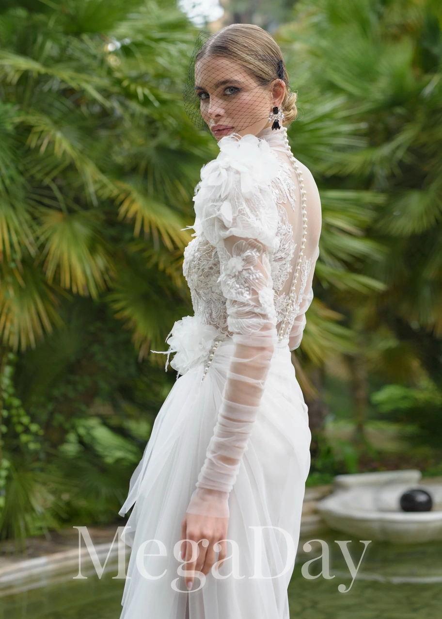 Brevia(3) 